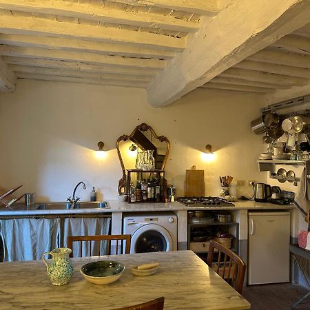 Castello Di Potentino Seggiano Dış mekan fotoğraf