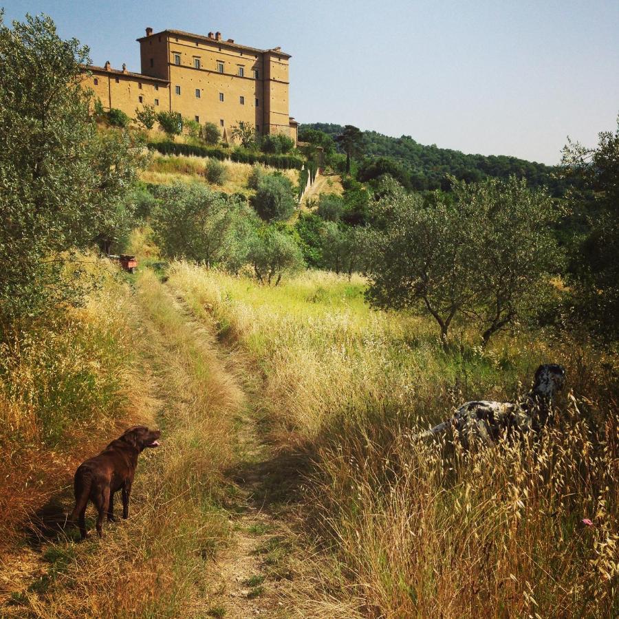Castello Di Potentino Seggiano Dış mekan fotoğraf